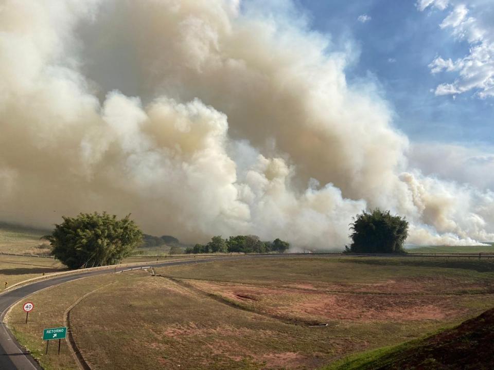 Foto 2 de 3 — Atenção motorista! Concessionária alerta sobre aumento de focos de incêndio próximos às rodovias